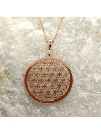 Rose Renk Yaşam Çiçeği Bayan Gümüş Kolye