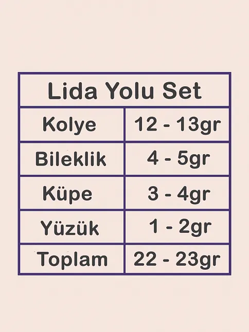 Lida Bayan Zirkon Taşlı Gümüş Su Yolu Set - Kolye, Bileklik, Küpe, Yüzük