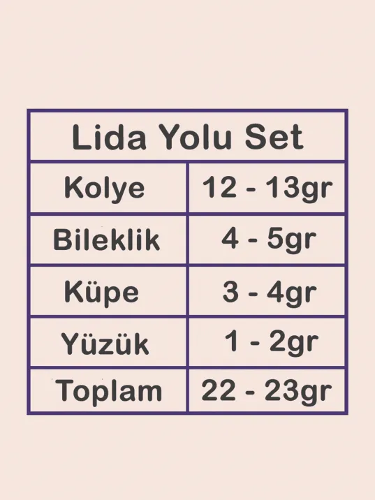 Lida Bayan Zirkon Taşlı Gümüş Su Yolu Set - Kolye, Bileklik, Küpe, Yüzük Lida Bayan Zirkon Taşlı Gümüş Su Yolu Set - Kolye, Bileklik, Küpe, Yüzük