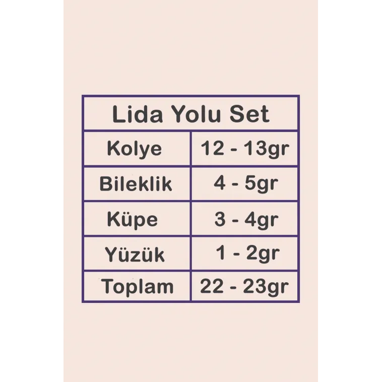Lida Bayan Zirkon Taşlı Gümüş Su Yolu Set - Kolye, Bileklik, Küpe, Yüzük