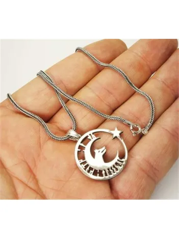 Göktürkçe Tanrı Türkü Korusun Ay Yıldız Bozkurt Erkek Gümüş Kolye