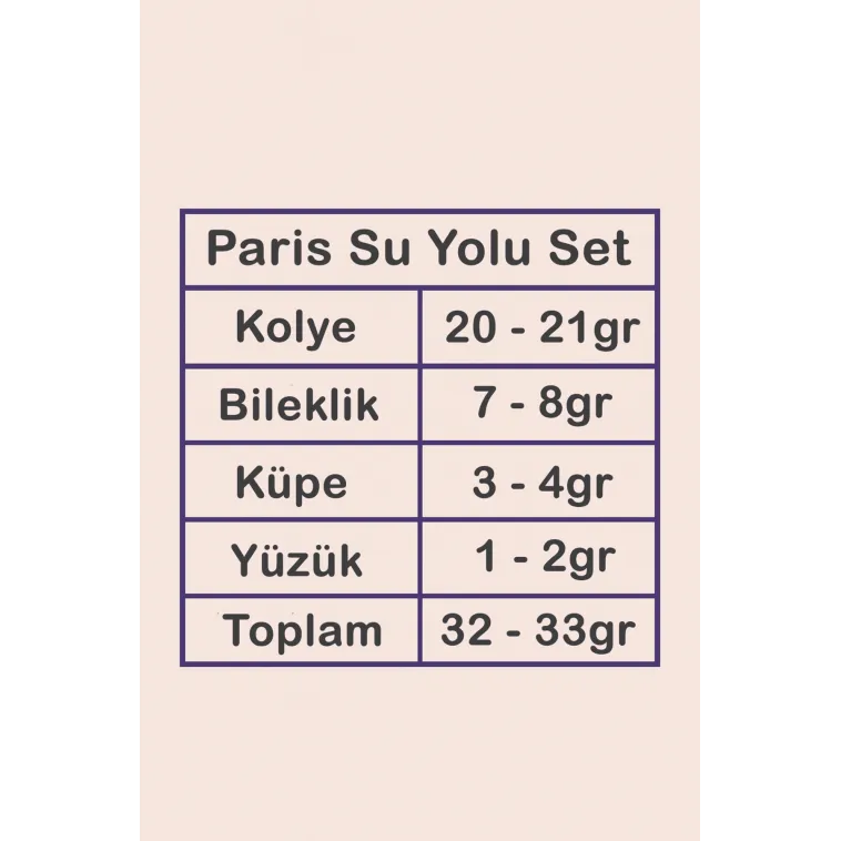 Kadın Gümüş Takı Düğün Seti - Paris Su Yolu 925 Ayar Kolye Bileklik Yüzük Küpe Tam Set