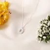 Kadın Gümüş Kolye - D Harfi Zirkon Taşlı Balon Harf Kadın Kolye Kadın Gümüş Kolye - D Harfi Zirkon Taşlı Balon Harf Kadın Kolye