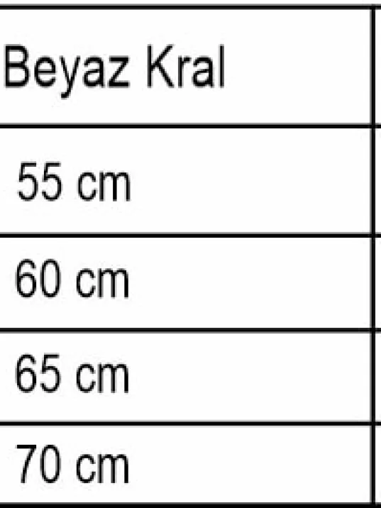 Erkek Gümüş Kolye - İnce Beyaz Kral Erkek Kolye Erkek Gümüş Kolye - İnce Beyaz Kral Erkek Kolye