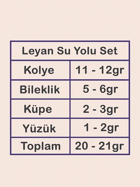 Leyan Bayan Yakut Taşlı Gümüş Su Yolu Set - Kolye, Bileklik, Küpe, Yüzük
