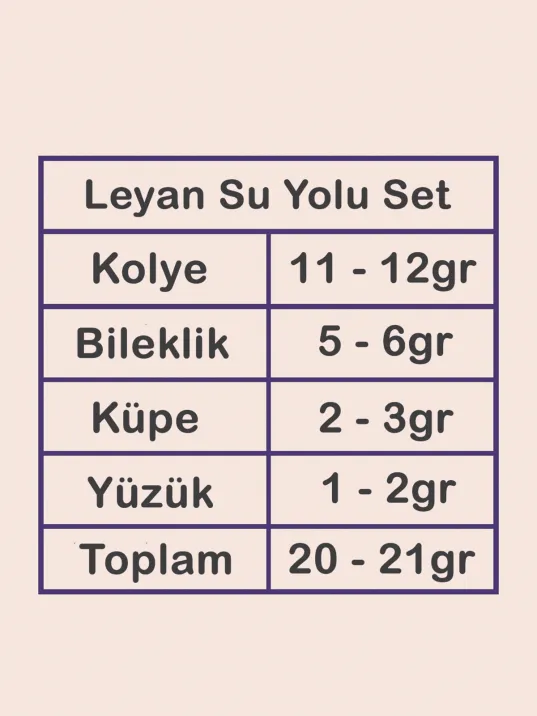 Leyan Bayan Yakut Taşlı Gümüş Su Yolu Set - Kolye, Bileklik, Küpe, Yüzük Leyan Bayan Yakut Taşlı Gümüş Su Yolu Set - Kolye, Bileklik, Küpe, Yüzük