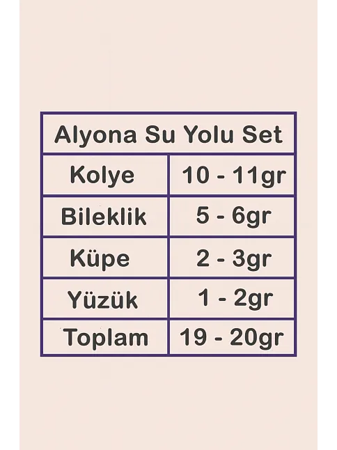 Alyona Bayan Zirkon Taşlı Gümüş Su Yolu Set - Kolye, Bileklik, Küpe, Yüzük