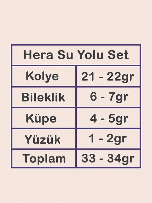 Hera Bayan Zirkon Taşlı Gümüş Su Yolu Set - Kolye, Bileklik, Küpe, Yüzük