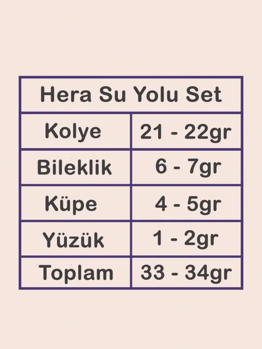 Hera Bayan Zirkon Taşlı Gümüş Su Yolu Set - Kolye, Bileklik, Küpe, Yüzük Hera Bayan Zirkon Taşlı Gümüş Su Yolu Set - Kolye, Bileklik, Küpe, Yüzük