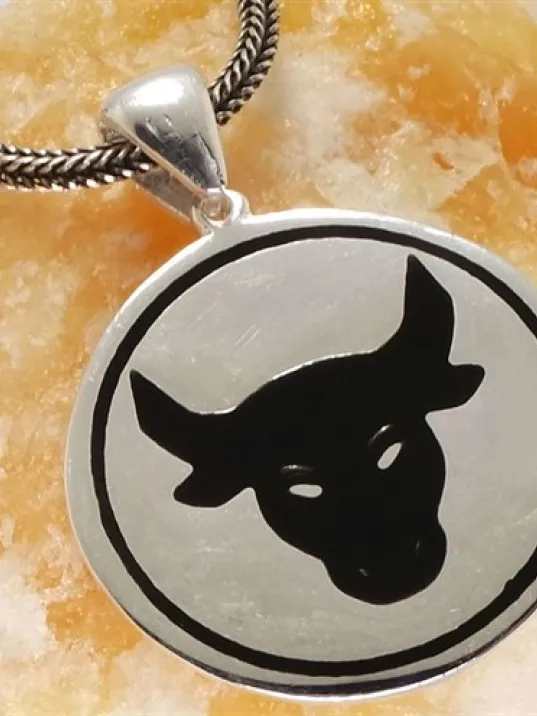 Boğa Figürlü Erkek Gümüş Kolye Zincir Boğa Figürlü Erkek Gümüş Kolye Zincir