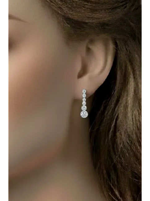 Parla Model Zirkon Taşlı Gümüş Su Yolu Kadın Küpe