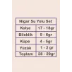 Kadın Gümüş Takı Seti - Nigar Zirkon Taşlı Yaprak Model Kolye, Bileklik, Yüzük, Küpe Tam Set Kadın Gümüş Takı Seti - Nigar Zirkon Taşlı Yaprak Model Kolye, Bileklik, Yüzük, Küpe Tam Set