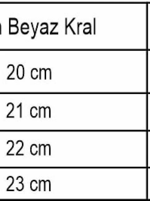 Parlak Kral 5.2 Mm Erkek Gümüş Bileklik