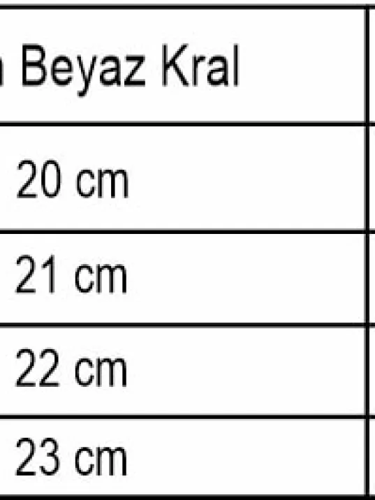 Parlak Kral 5.2 Mm Erkek Gümüş Bileklik Parlak Kral 5.2 Mm Erkek Gümüş Bileklik