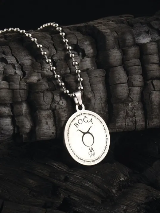 Boğa Burcu Kolye Kadın Erkek Çelik Kolye Top Zincir GKLBOGABURC-GMS