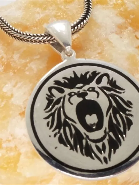 Aslan Figürlü Erkek Gümüş Kolye Zincir