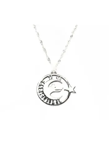 Ay Yıldız Bozkurt Göktürkçe Tanrı Türkü Korusun Yazılı Gümüş Bayan Kolye