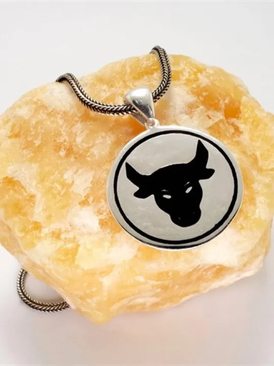 Boğa Figürlü Erkek Gümüş Kolye Zincir Boğa Figürlü Erkek Gümüş Kolye Zincir