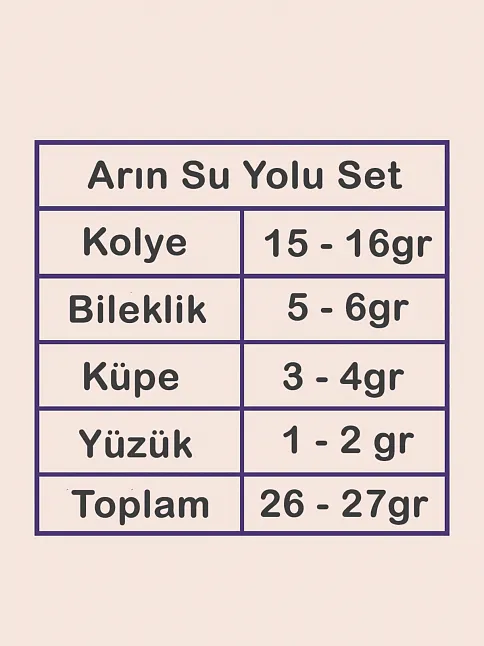 Arın Bayan Zirkon Taşlı Gümüş Su Yolu Set - Kolye, Bileklik, Küpe, Yüzük