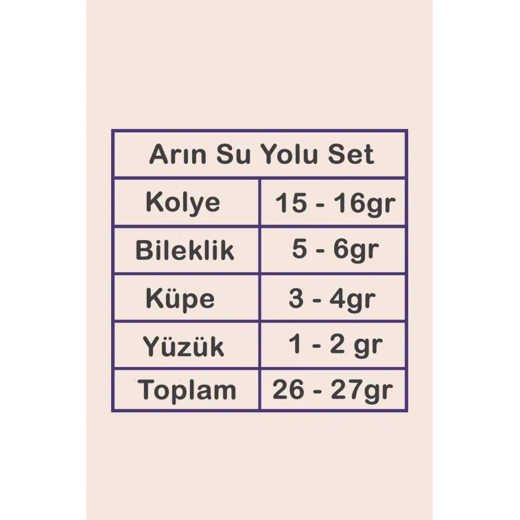 Arın Bayan Zirkon Taşlı Gümüş Su Yolu Set - Kolye, Bileklik, Küpe, Yüzük Arın Bayan Zirkon Taşlı Gümüş Su Yolu Set - Kolye, Bileklik, Küpe, Yüzük