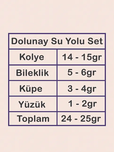 Dolunay Bayan Zirkon Taşlı Gümüş Su Yolu Set - Kolye, Bileklik, Küpe, Yüzük