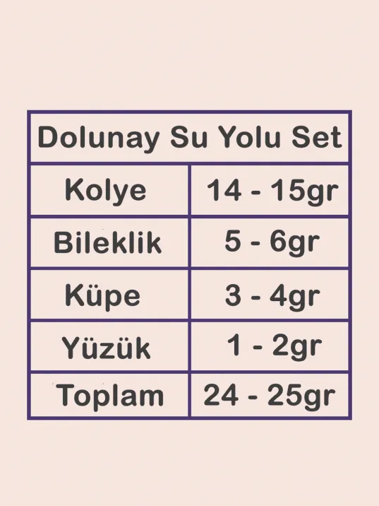 Dolunay Bayan Zirkon Taşlı Gümüş Su Yolu Set - Kolye, Bileklik, Küpe, Yüzük Dolunay Bayan Zirkon Taşlı Gümüş Su Yolu Set - Kolye, Bileklik, Küpe, Yüzük