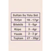 Kadın Gümüş Takı Seti - Sultan Baget Taşlı Zirkon Süslemeli Kolye, Bileklik, Yüzük, Küpe Tam Set
