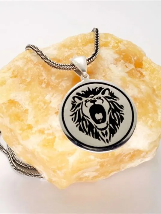 Aslan Figürlü Erkek Gümüş Kolye Zincir
