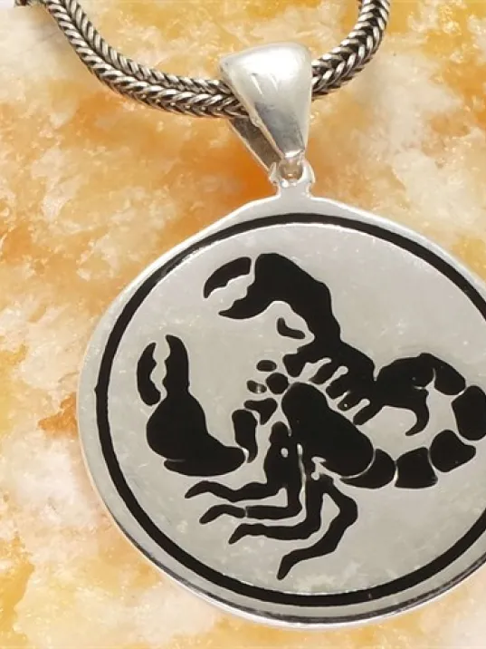 Akrep Erkek Gümüş Kolye Zincir Akrep Erkek Gümüş Kolye Zincir