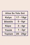 Alisa Bayan Zirkon Taşlı Gümüş Su Yolu Set - Kolye, Bileklik, Küpe, Yüzük Alisa Bayan Zirkon Taşlı Gümüş Su Yolu Set - Kolye, Bileklik, Küpe, Yüzük