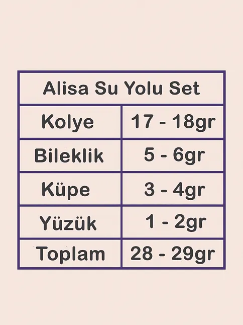 Alisa Bayan Zirkon Taşlı Gümüş Su Yolu Set - Kolye, Bileklik, Küpe, Yüzük Alisa Bayan Zirkon Taşlı Gümüş Su Yolu Set - Kolye, Bileklik, Küpe, Yüzük