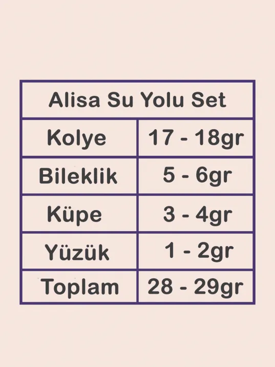 Alisa Bayan Zirkon Taşlı Gümüş Su Yolu Set - Kolye, Bileklik, Küpe, Yüzük Alisa Bayan Zirkon Taşlı Gümüş Su Yolu Set - Kolye, Bileklik, Küpe, Yüzük