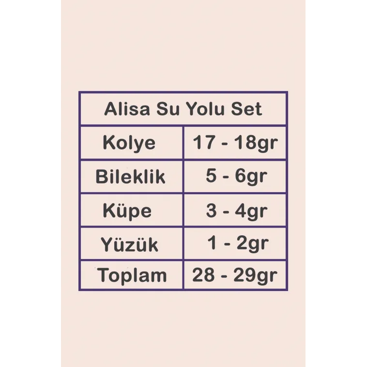 Alisa Bayan Zirkon Taşlı Gümüş Su Yolu Set - Kolye, Bileklik, Küpe, Yüzük Alisa Bayan Zirkon Taşlı Gümüş Su Yolu Set - Kolye, Bileklik, Küpe, Yüzük
