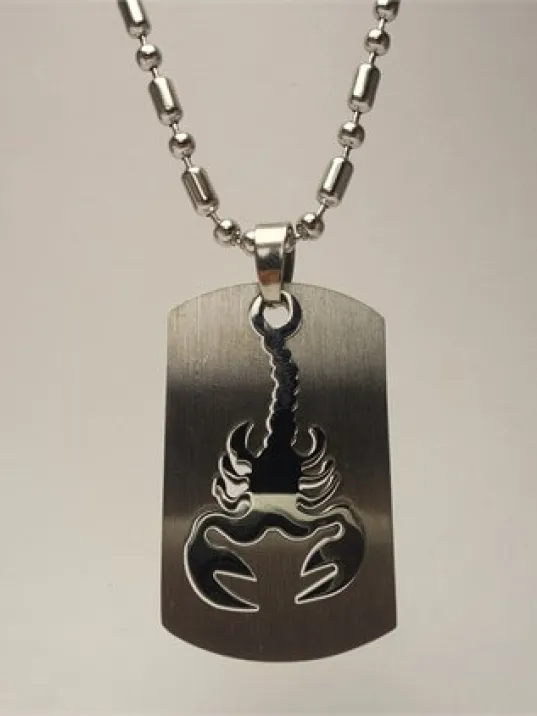 316l Paslanmaz Çelik Akrep Burcu Erkek Çelik Kolye