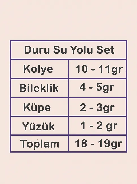 Kadın Gümüş Takı Seti - Duru Zirkon Taşlı Model Kolye, Bileklik, Yüzük, Küpe Tam Set