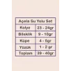 Açela Bayan Zirkon Taşlı Gümüş Su Yolu Set - Kolye, Bileklik, Küpe, Yüzük Açela Bayan Zirkon Taşlı Gümüş Su Yolu Set - Kolye, Bileklik, Küpe, Yüzük