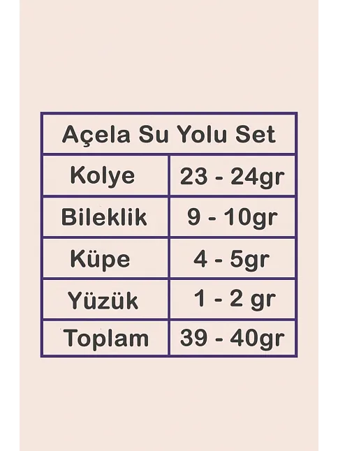 Açela Bayan Zirkon Taşlı Gümüş Su Yolu Set - Kolye, Bileklik, Küpe, Yüzük