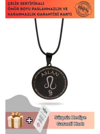 Aslan Burcu Kolyesi Kadın Erkek Çelik Deri Kolye CKLASLANBUR-SYH