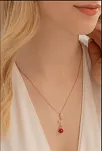 Zirkon Taşlı Rose Gül Çiçeği Model 2 Kadın Gümüş Kolye Gklglcckmd2-ros