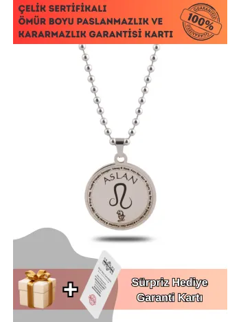 Aslan Burcu Kolyesi Kadın Erkek Çelik Kolye Top Zincir CKLASLANBRC-GMS