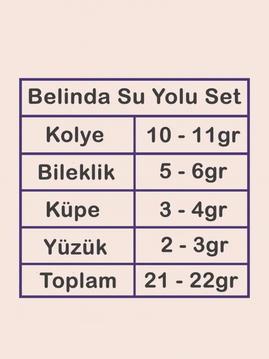Belinda Bayan Ametist Taşlı Gümüş Su Yolu Set - Kolye, Bileklik, Küpe, Yüzük Belinda Bayan Ametist Taşlı Gümüş Su Yolu Set - Kolye, Bileklik, Küpe, Yüzük