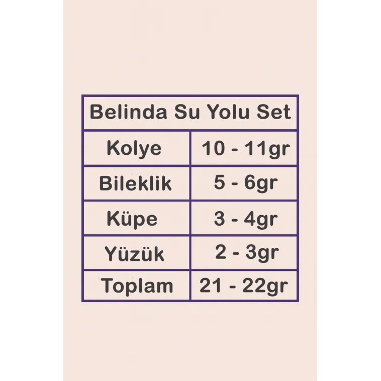Belinda Bayan Ametist Taşlı Gümüş Su Yolu Set - Kolye, Bileklik, Küpe, Yüzük Belinda Bayan Ametist Taşlı Gümüş Su Yolu Set - Kolye, Bileklik, Küpe, Yüzük