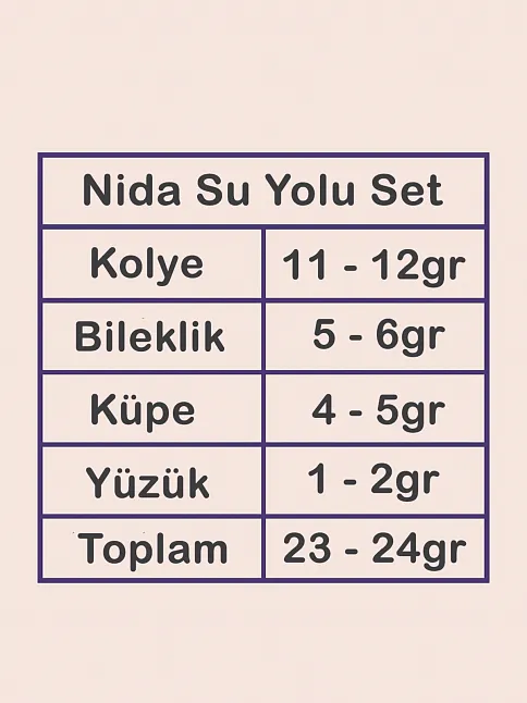Nida Bayan Zirkon Taşlı Gümüş Su Yolu Set - Kolye, Bileklik, Küpe, Yüzük