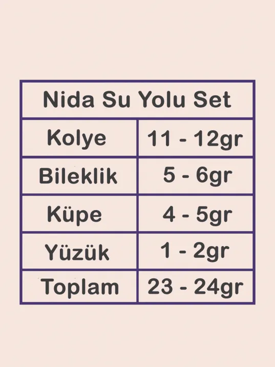 Nida Bayan Zirkon Taşlı Gümüş Su Yolu Set - Kolye, Bileklik, Küpe, Yüzük Nida Bayan Zirkon Taşlı Gümüş Su Yolu Set - Kolye, Bileklik, Küpe, Yüzük