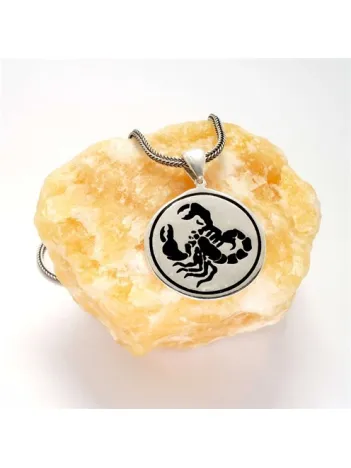 Akrep Erkek Gümüş Kolye Zincir