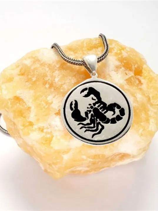 Akrep Erkek Gümüş Kolye Zincir Akrep Erkek Gümüş Kolye Zincir