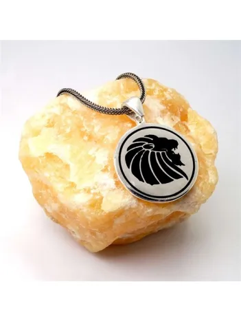 Aslan Erkek Gümüş Kolye Zincir