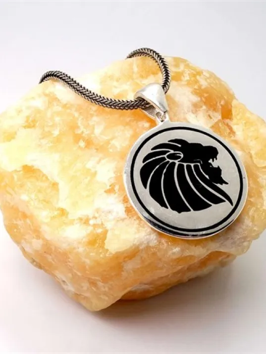 Aslan Erkek Gümüş Kolye Zincir