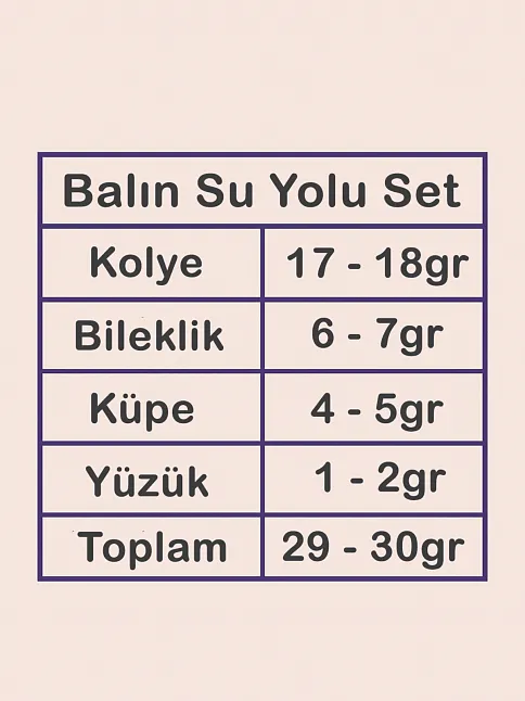 Balın Bayan Zirkon Taşlı Gümüş Su Yolu Set - Kolye, Bileklik, Küpe, Yüzük