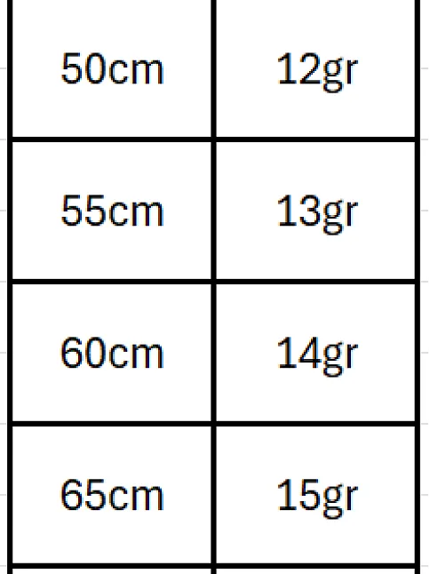 2.5mm Tilki Kuyruğu Gümüş Erkek Kolye Zincir Kalın Model